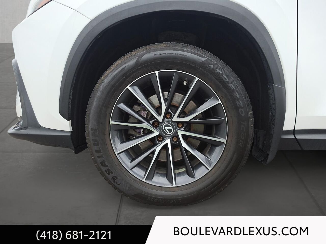 2022 Lexus NX White Quebec - photo #6