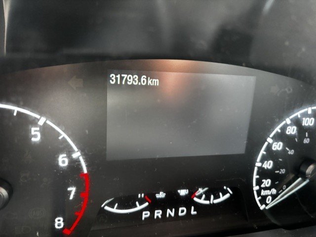 Ford Maverick XLT AWD 2023 2023 Vert