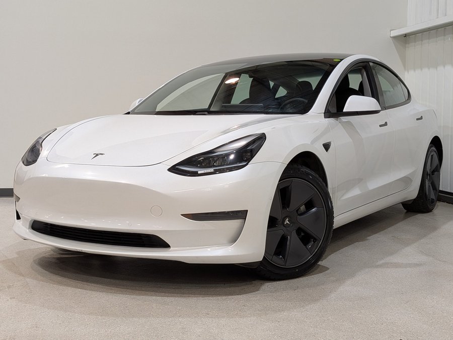 Tesla Model 3 2021 2021 Rouge