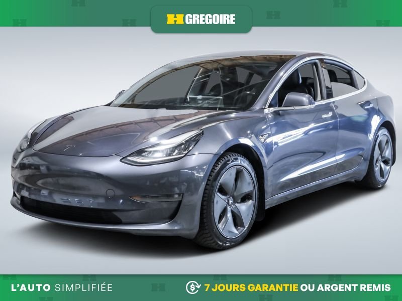 Tesla Model 3 2020 2020 Argent