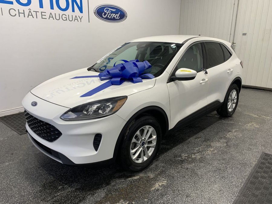 2020 Ford Escape 2020 White