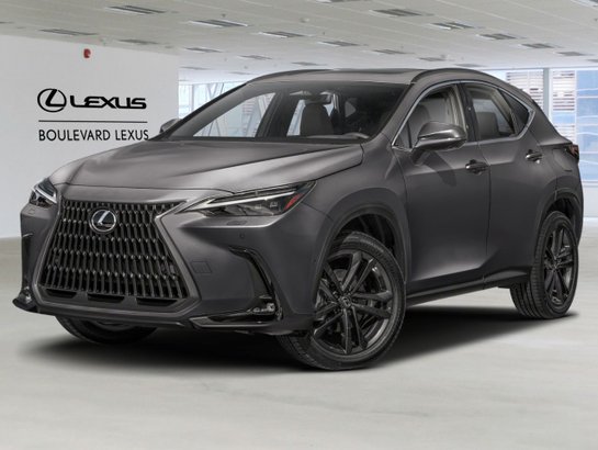 LEXUS NX 2026 2026 Gris orage