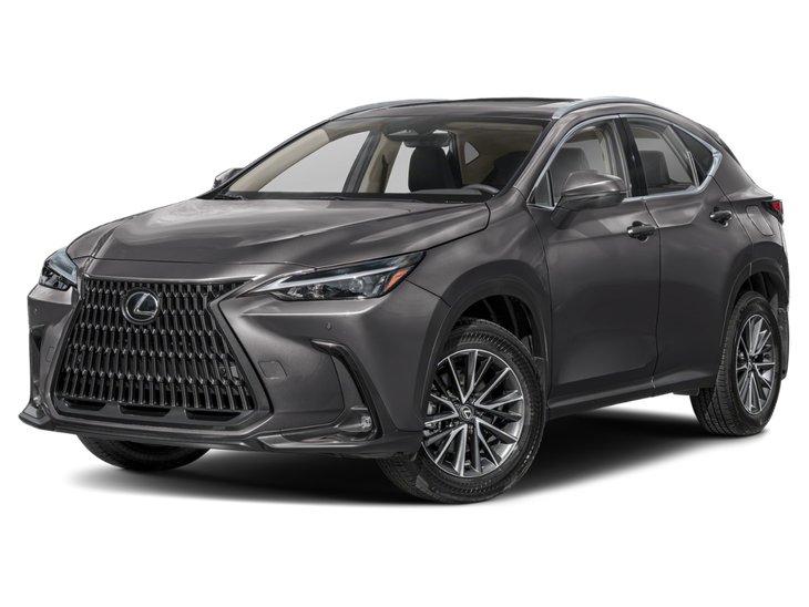 2025 Lexus NX NX 350