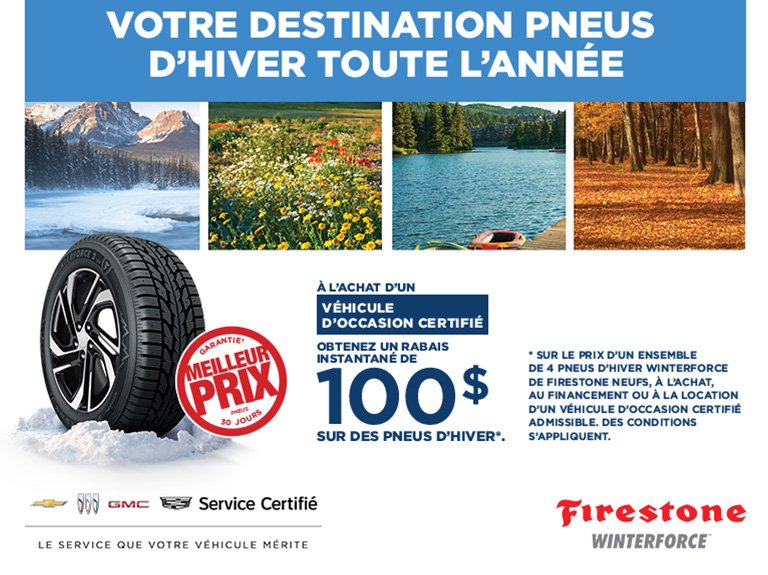 Magnetis - Programme