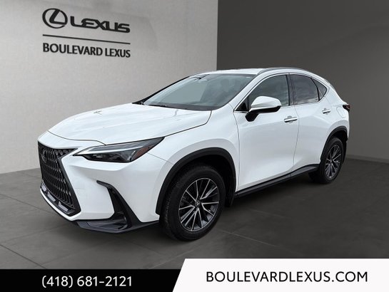 Lexus NX 2024 2024 Blanc