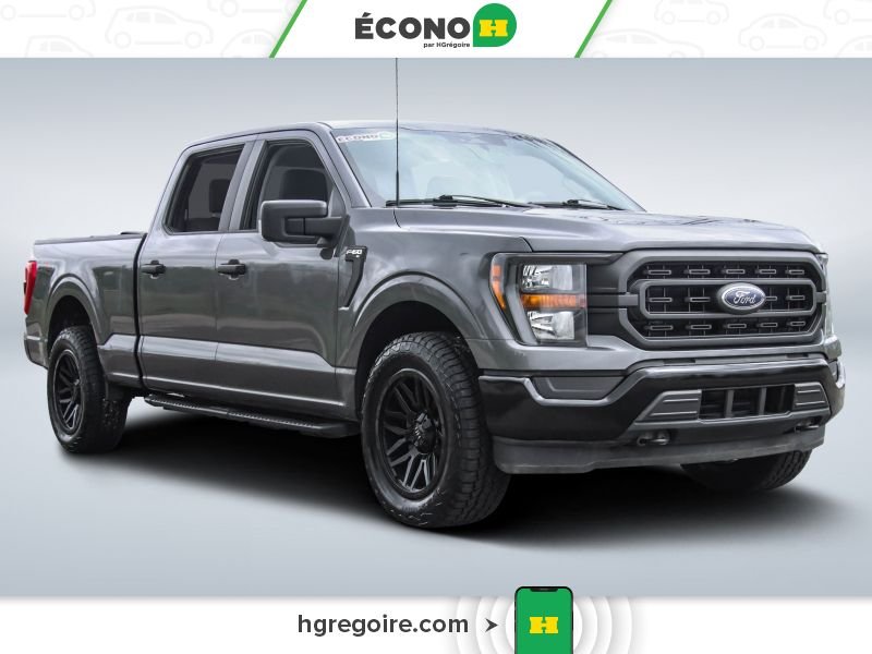 Ford F150 2023 Gris Blainville - photo #0