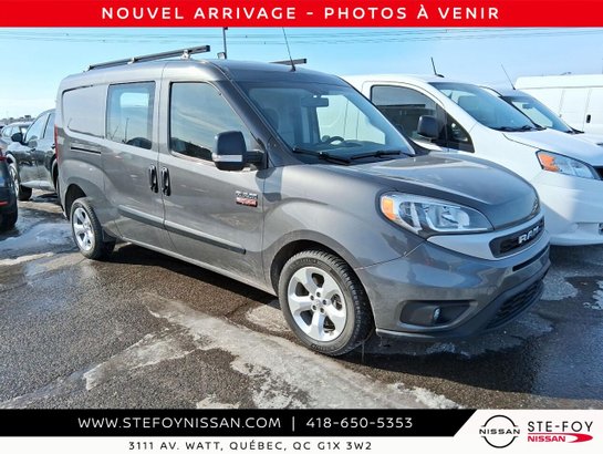 Ram ProMaster City fourgonnette utilitaire S6401 2021 Gris