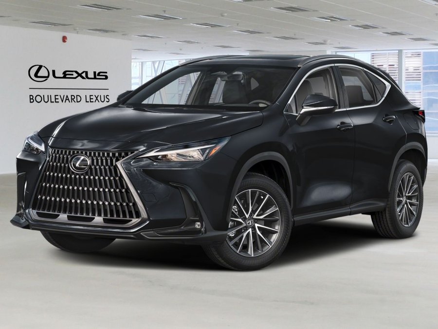 Lexus NX 2024 2024 Noir