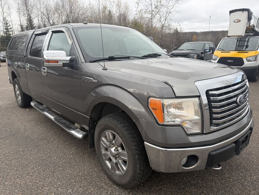 2010 Ford F-150 2010 Grey