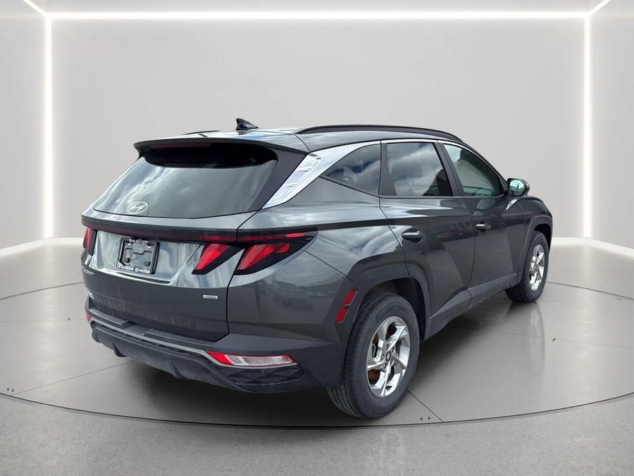 2024 Hyundai Tucson 2024 Grey