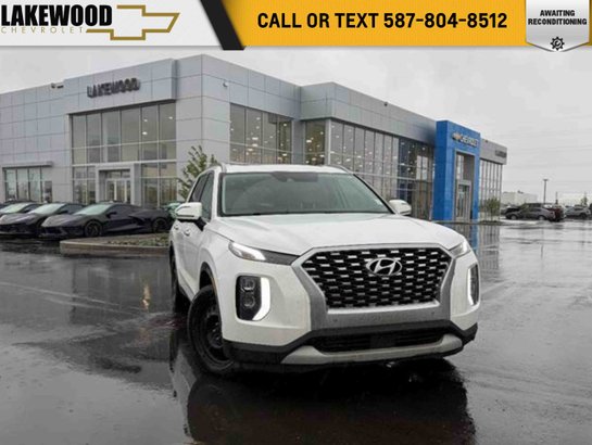 2020 Hyundai Palisade 2020 White
