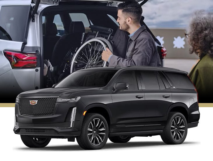 Modilite programme Cadillac