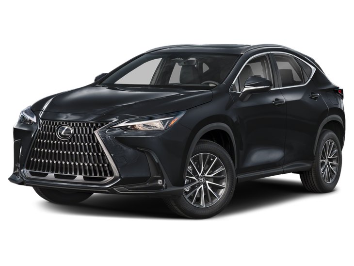2025 Lexus NX NX 250