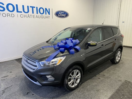 Ford Escape 2019 2019 Gris