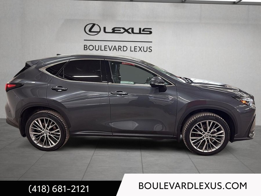 Lexus NX 2024 2024 Gris