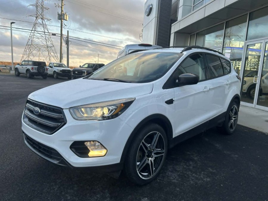 Ford Escape 2019 2019 Blanc