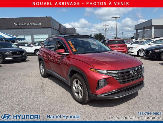 Hyundai Tucson 2024 2024 Rouge