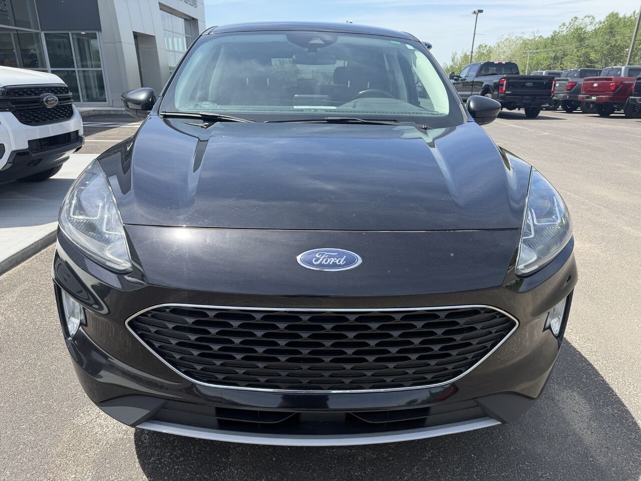 Ford Escape 2022 Noir Mont-Laurier - photo #9