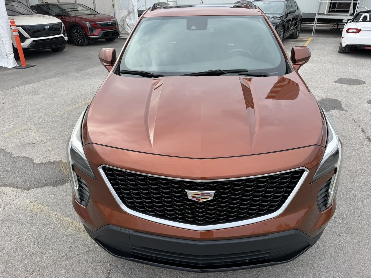 2019 Cadillac XT4 SPORT AWD Orange Laval - photo #6
