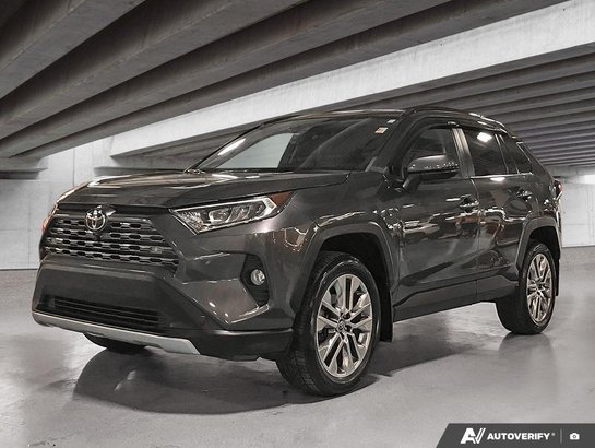 2019 Toyota RAV4 2019 Grey