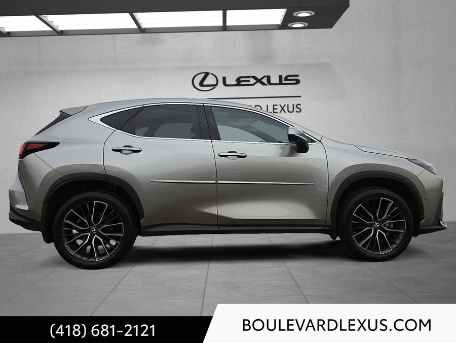 Lexus NX 2024 2024 Argent