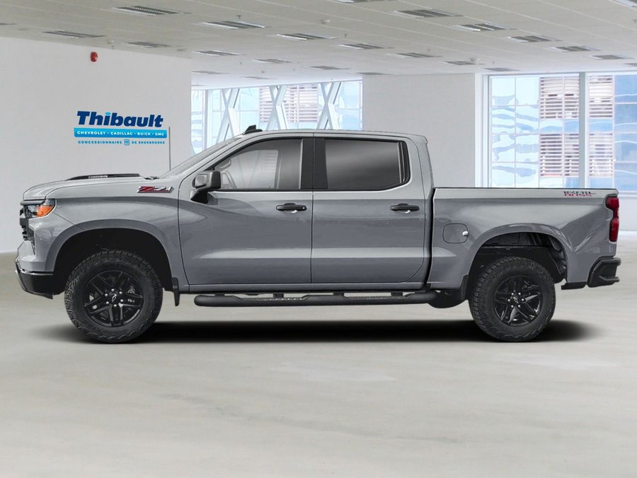 CHEVROLET SILVERADO 1500 Custom Trail Boss cabine multiplace 4RM 157 po 2026 Gris