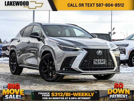 2022 Lexus NX 2022 Grey
