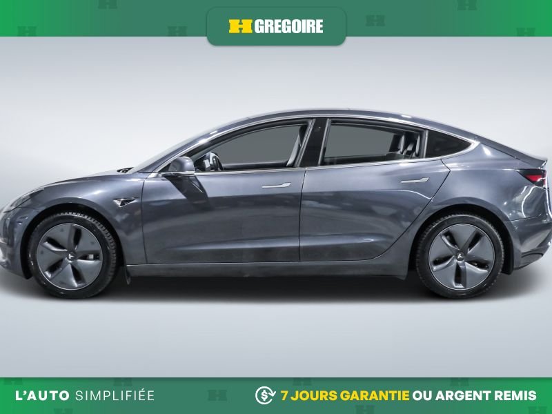 Tesla Model 3 2020 2020 Argent