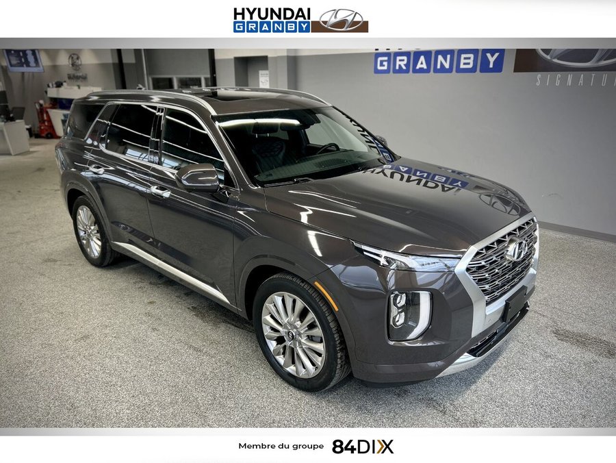 Hyundai Palisade 2020 2020 Brun