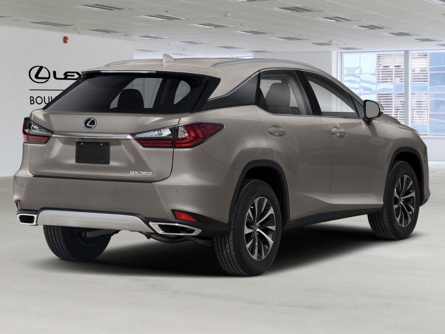 Lexus RX 2020 2020 Argent