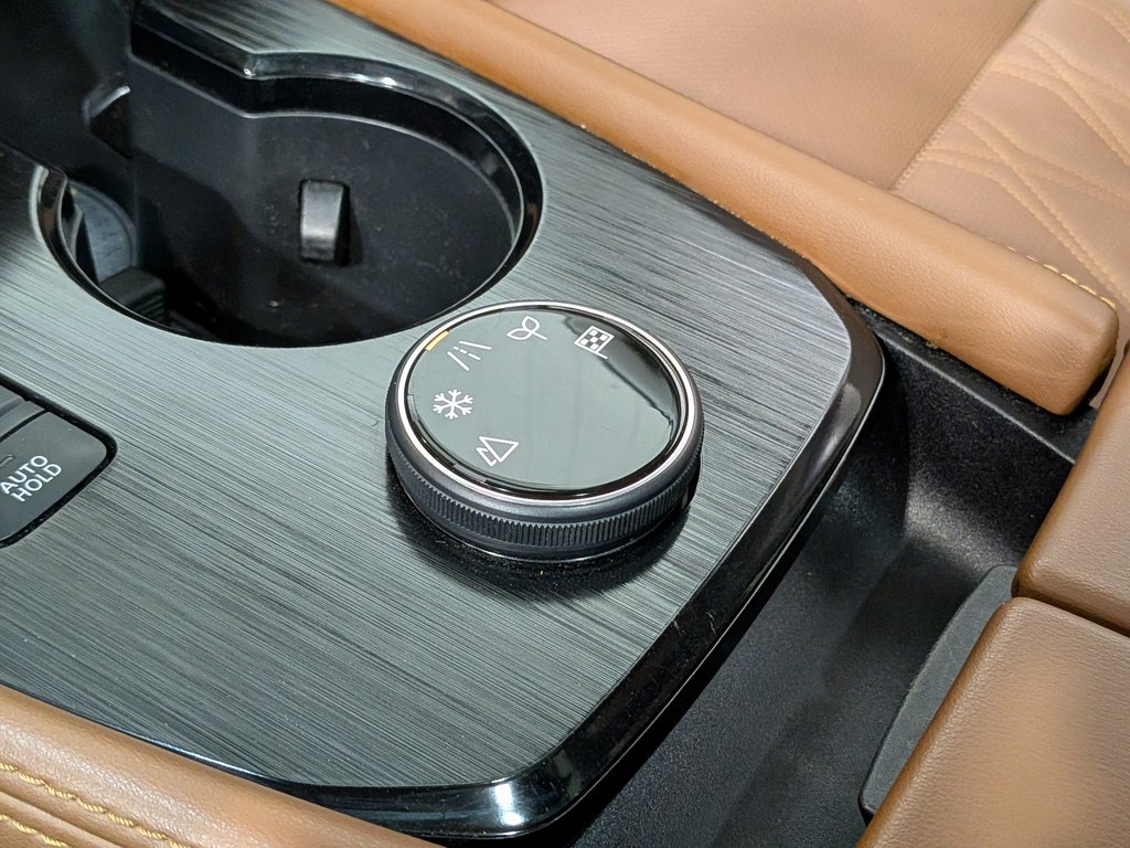 Nissan Rogue AWD Platinum 2024 Rouge Val-David - photo #30