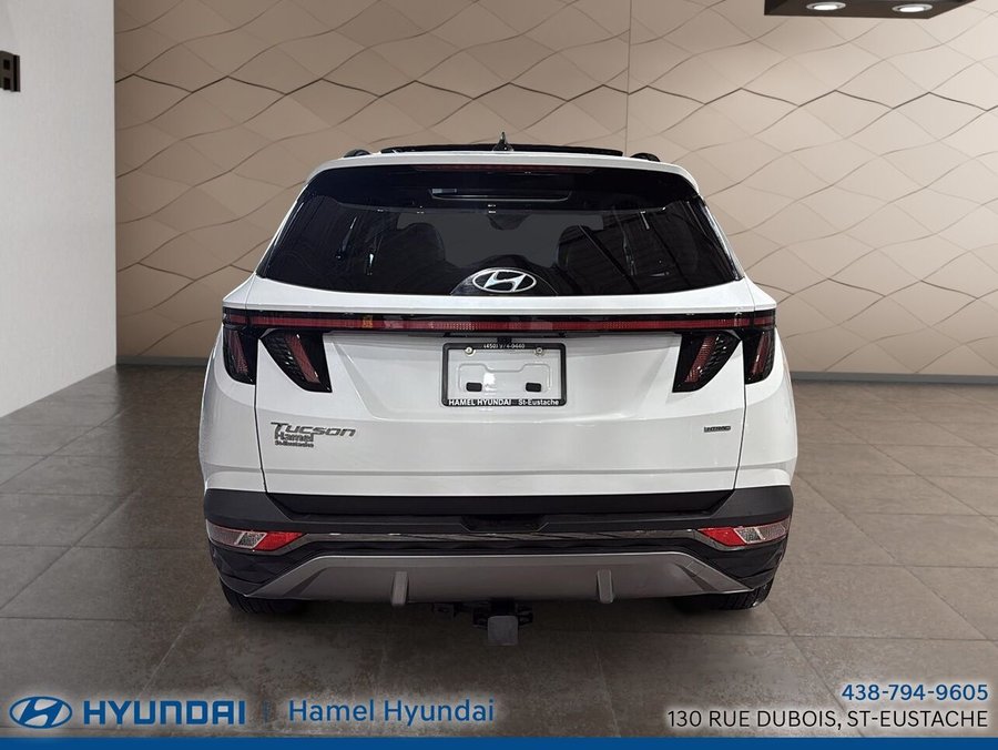 2024 Hyundai Tucson 2024 White