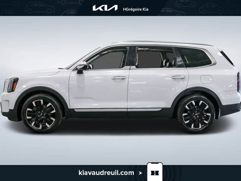 2023 Kia Telluride 2023 White