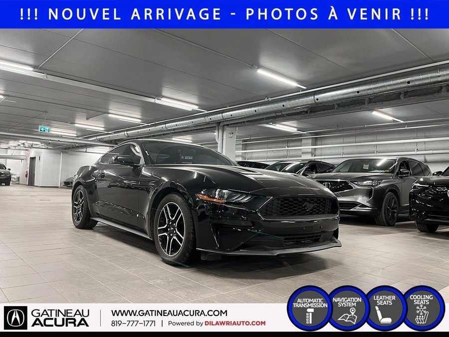 Ford Mustang 2019 2019 Noir