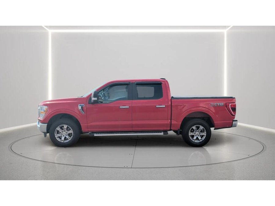 Ford F-150 2023 2023 Rouge