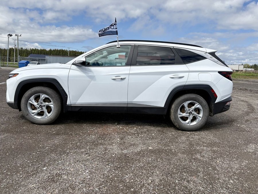 Hyundai Tucson Preferred TI 2022 Blanc