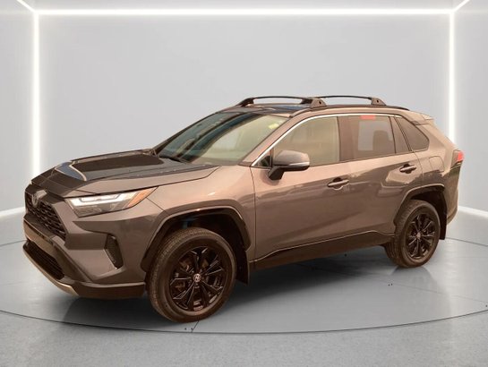 2024 TOYOTA RAV4 Hybrid 2024 Grey