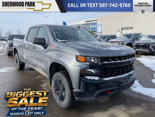 2021 Chevrolet Silverado 1500 2021 Grey