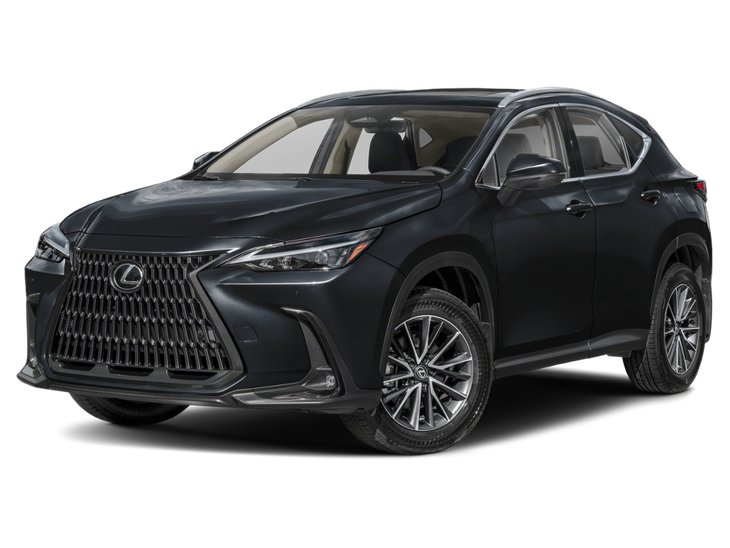 2025 Lexus NX NX 350