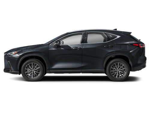 2025 Lexus NX 2025