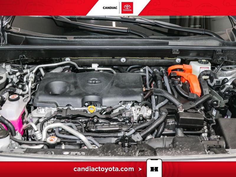 Toyota RAV4 Plug-In Hybrid 2025 Argent Blainville - photo #38