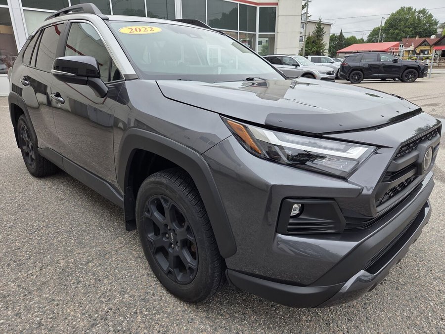 Toyota RAV4 2022 2022 Gris