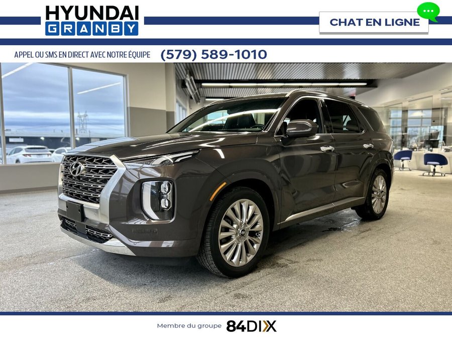 2020 Hyundai Palisade 2020 Brown