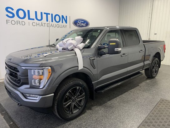 Ford F-150 2022 2022 Gris