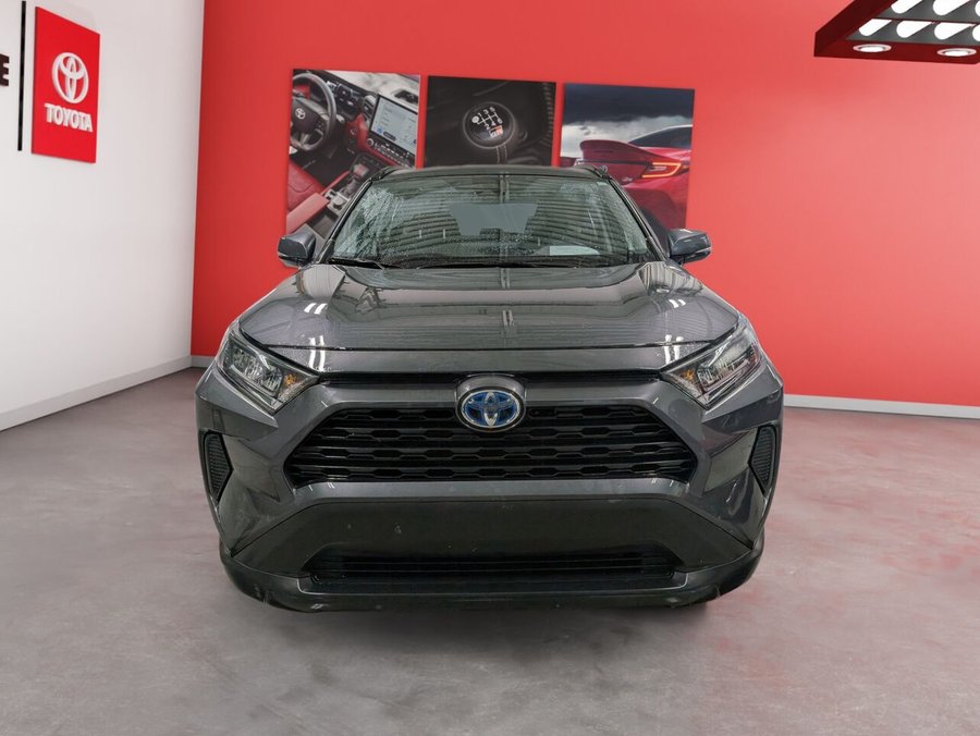 Toyota RAV4 Hybride 2023 2023 Gris