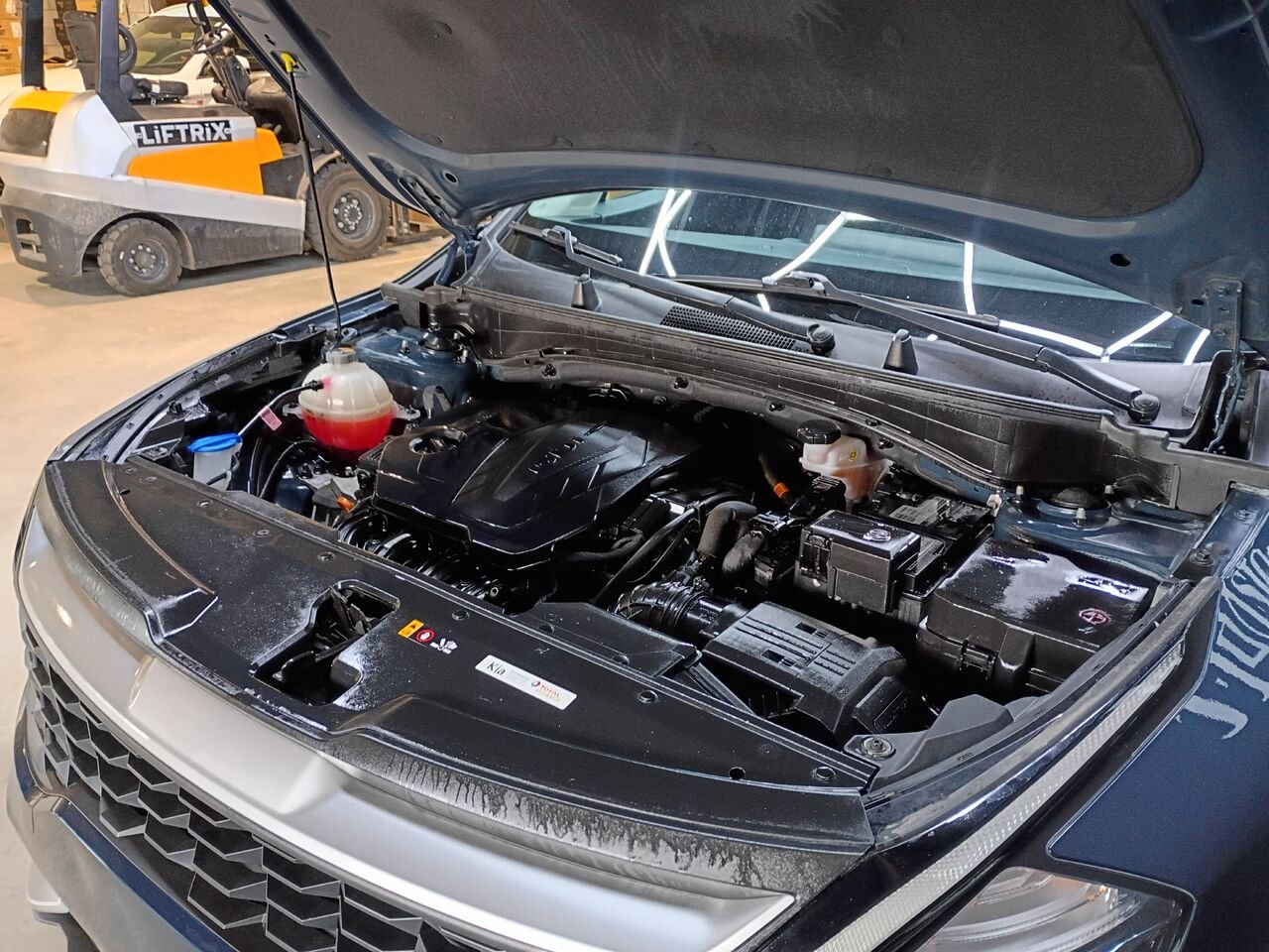 Kia Sportage 2023 Bleu Blainville - photo #31