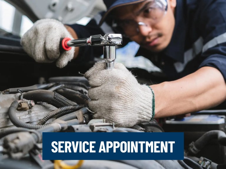 Service