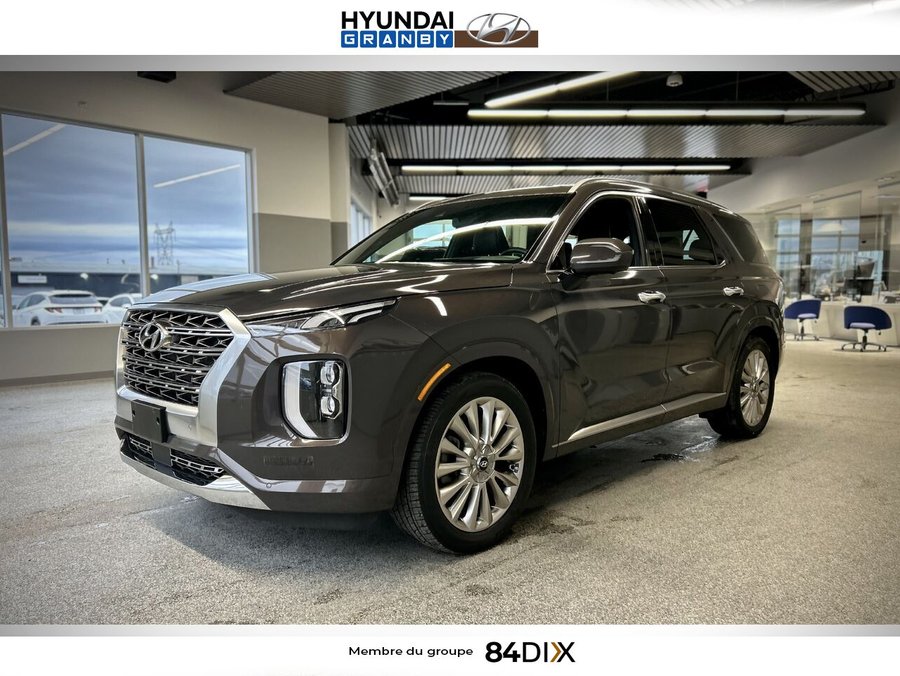Hyundai Palisade 2020 2020 Brun