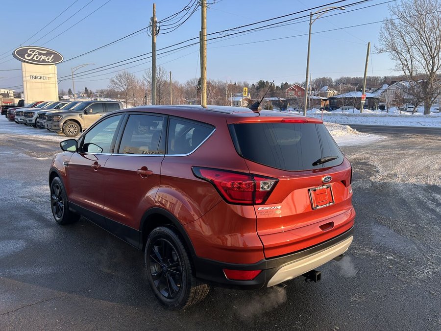Ford ESCAPE 2019 2019 Rouge