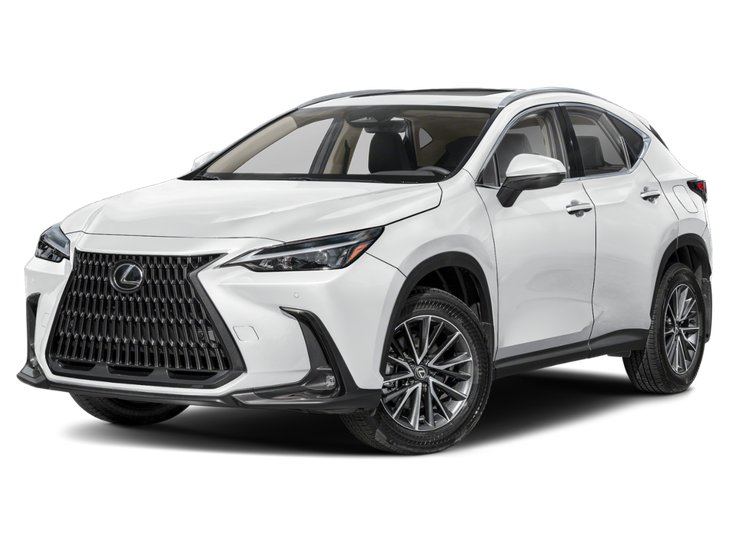 2025 Lexus NX NX 350